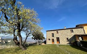 Affittacamere Il Vecchio Mandorlo