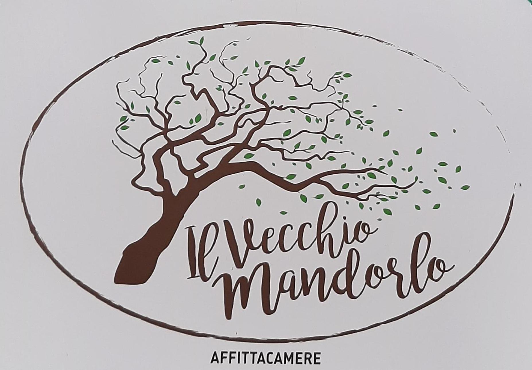 Affittacamere Il Vecchio Mandorlo Quarrata Exterior foto